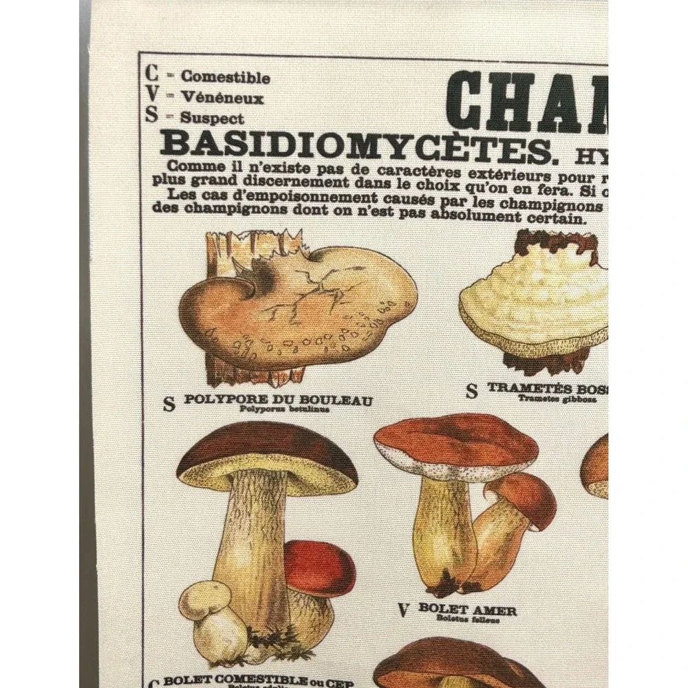 Vintage French Mushroom Botanical Scroll Wall Hanging Canvas Fungi Chart Art